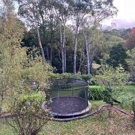 Mount Evelyn Yarra Ranges Country Apartment מראה חיצוני תמונה