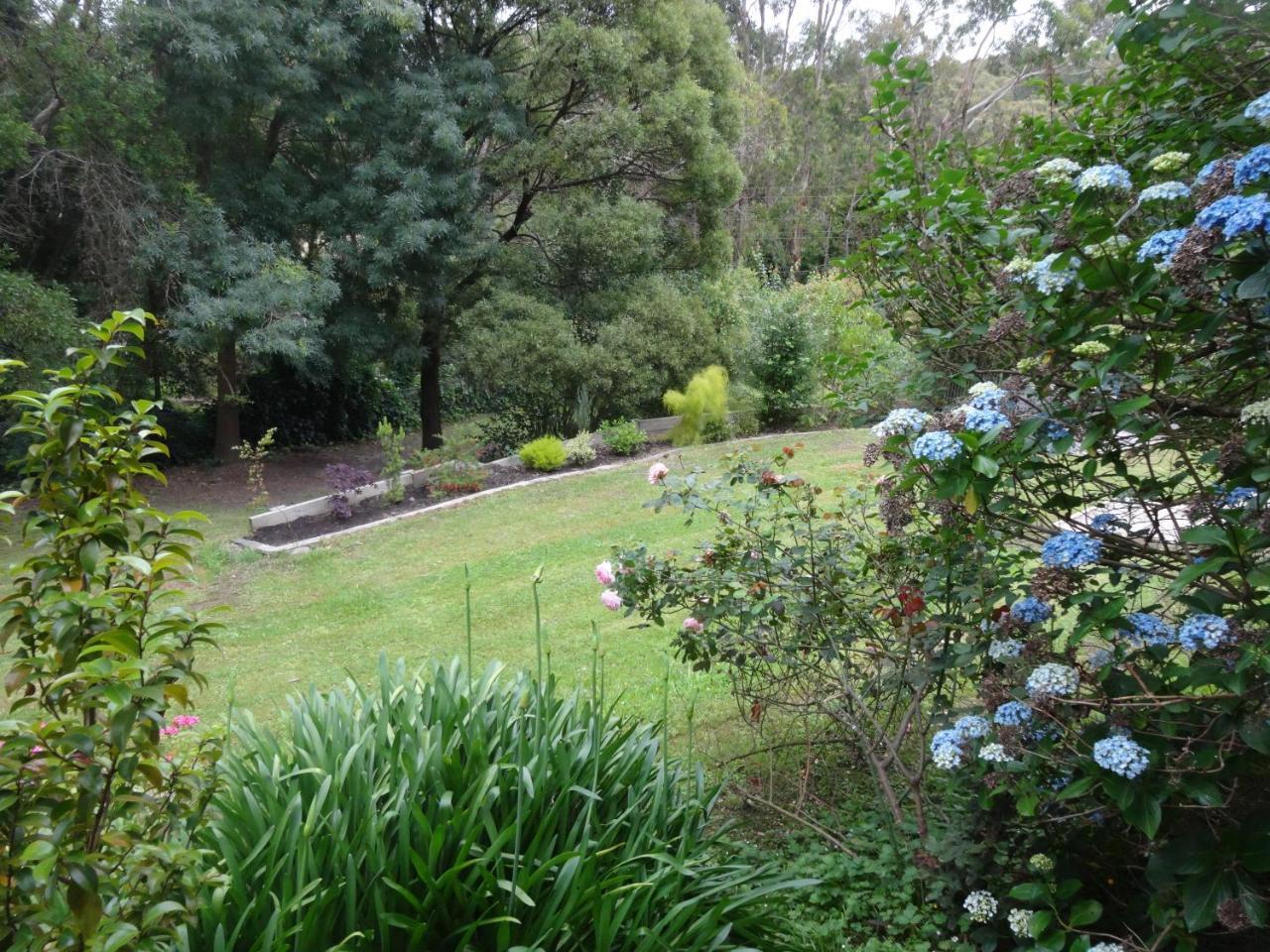 Mount Evelyn Yarra Ranges Country Apartment מראה חיצוני תמונה